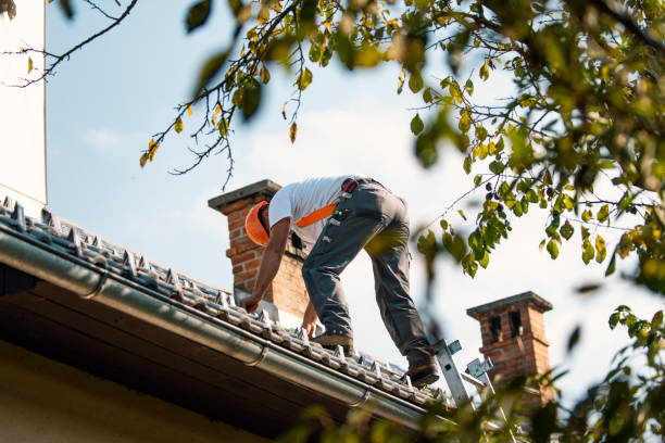 Best Rubber Roofing (EPDM, TPO)  in Interlaken, CA